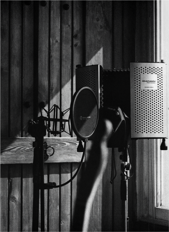 A microphone on a stand in a recording booth.
